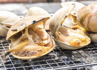 「蒲郡」を愉しむ